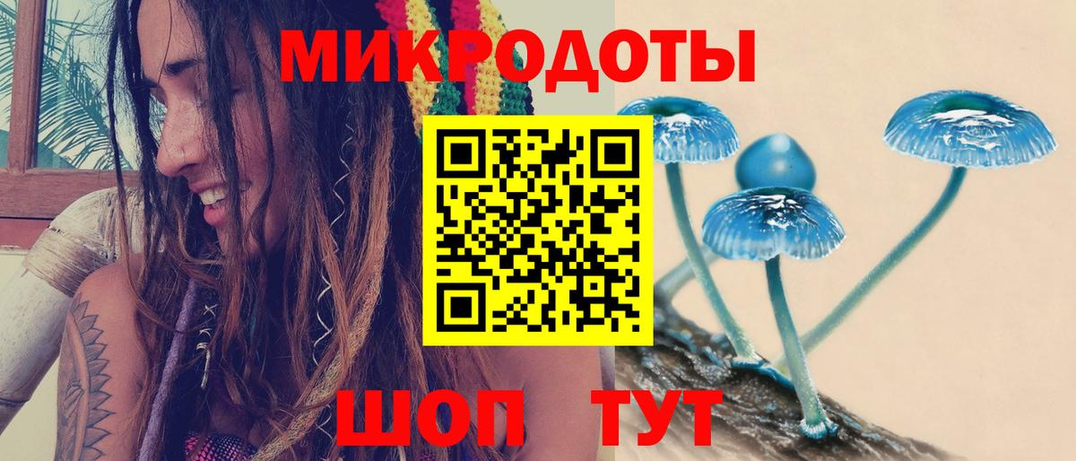 Галлюциногенные грибы Psilocybine cubensis  цена   Сочи  Вход с VPN 